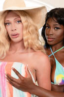 Transfixed Picture 3